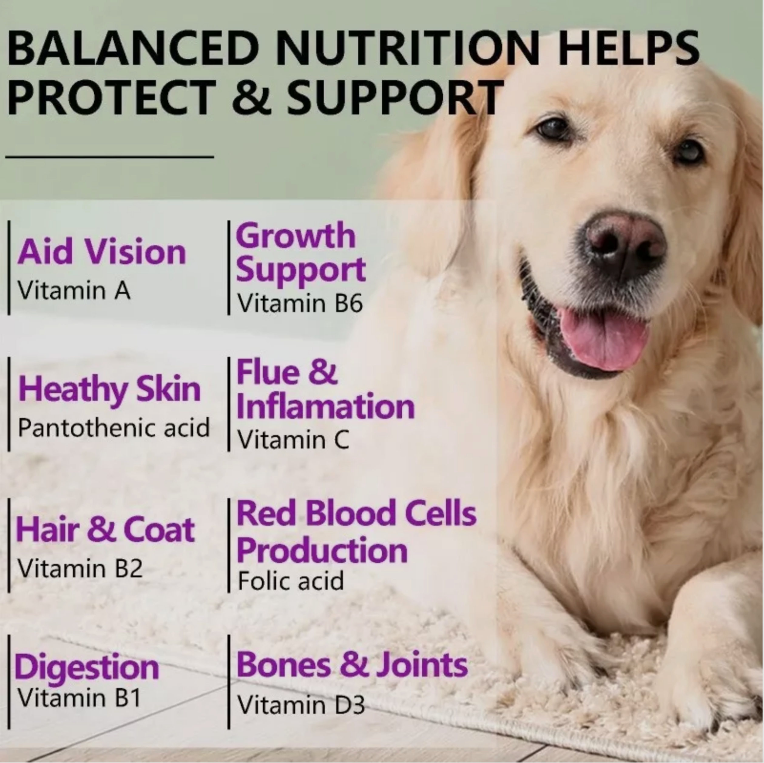 Oimmal Multivitamin 15 in 1 Dog Chews (150) - Duck Flavour