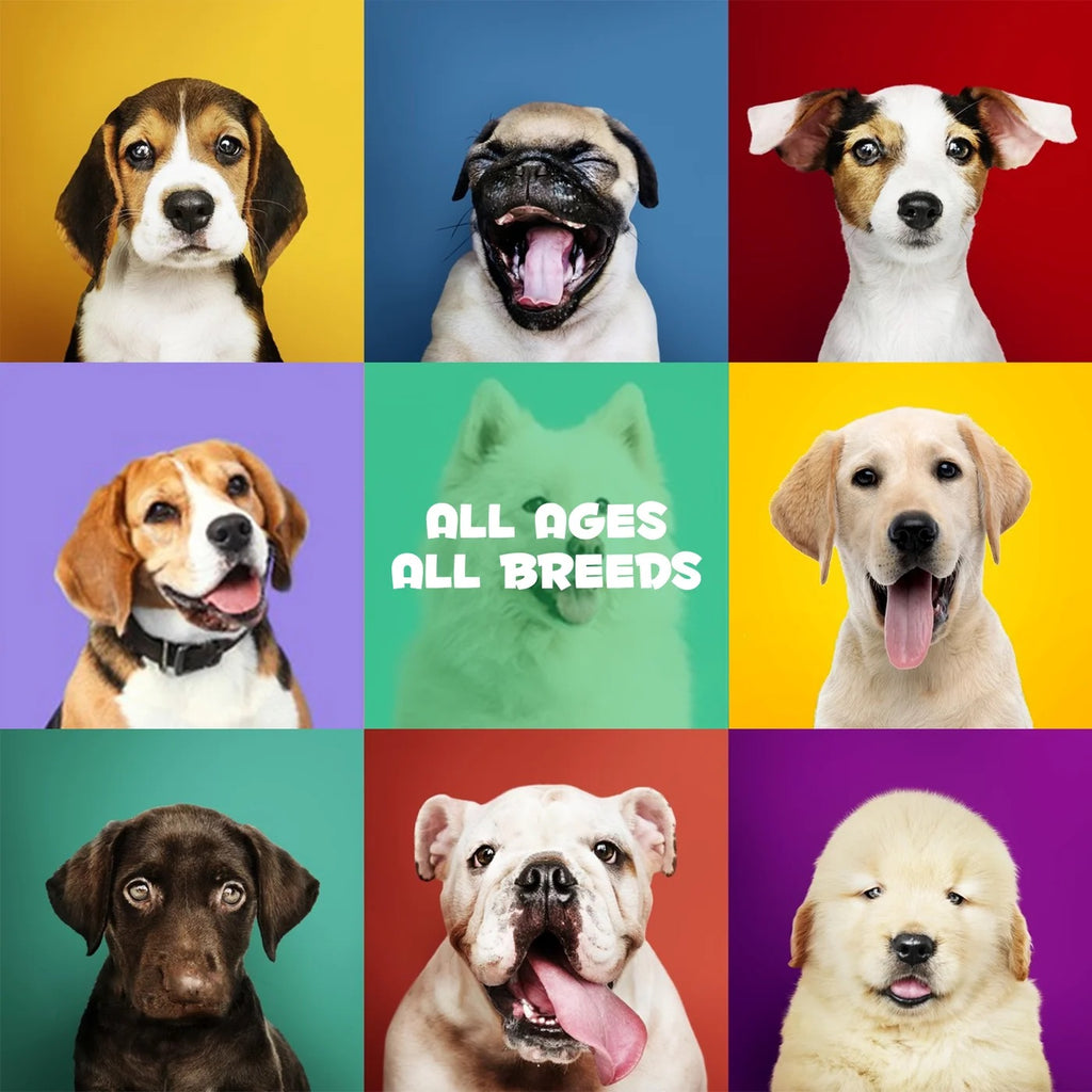 Oimmal Pre & Probiotic digestive dog treats (120) - Duck Flavour
