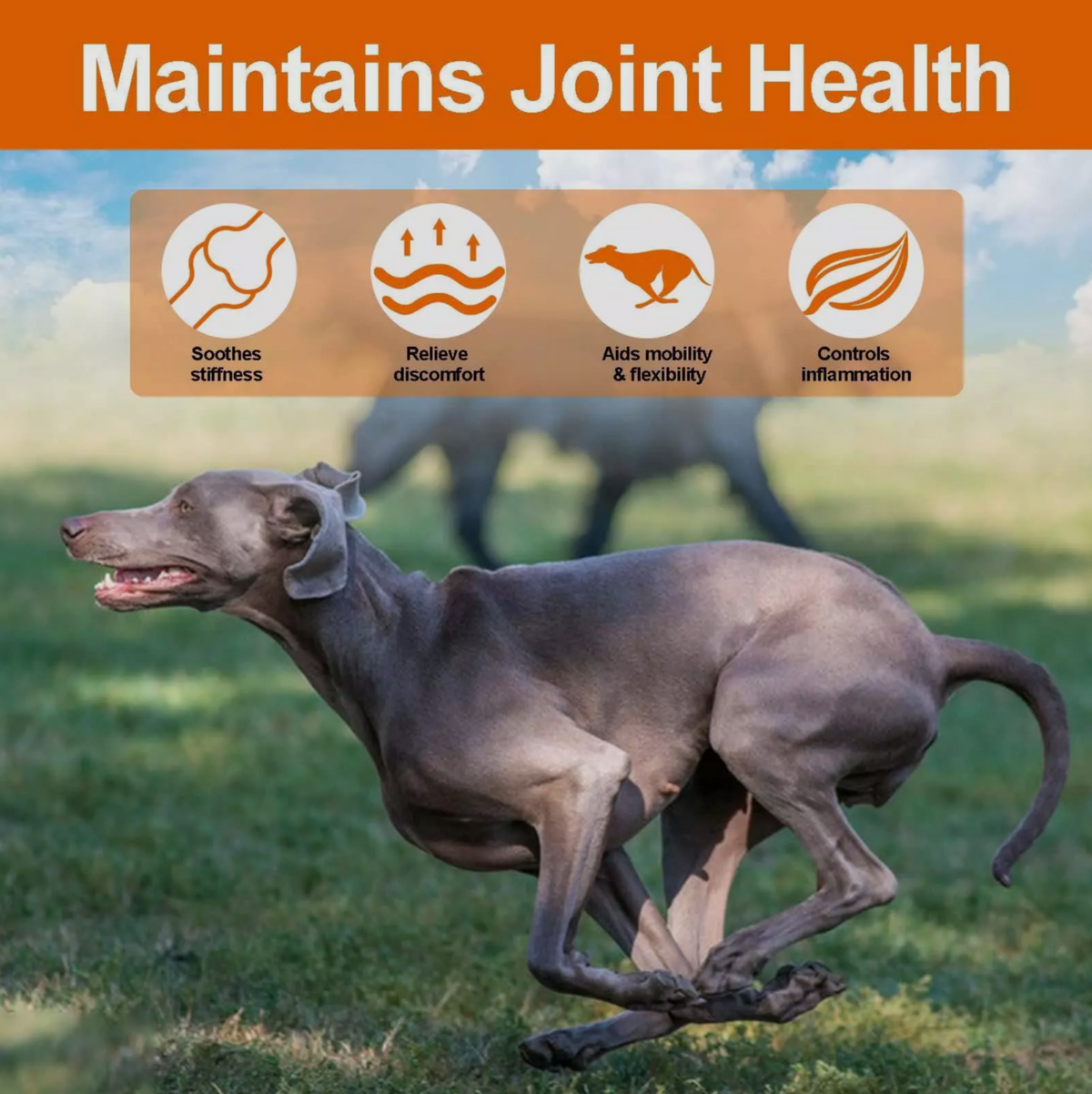 Oimmal Hip and Joint Glucosamine Hemp Dog Chews  (150) - Duck Flavour