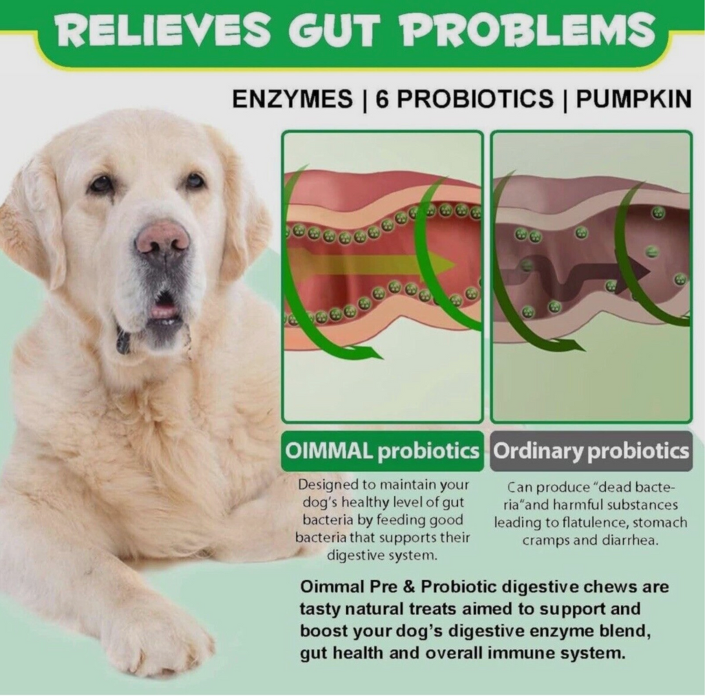 Oimmal Pre & Probiotic digestive dog treats (120) - Duck Flavour