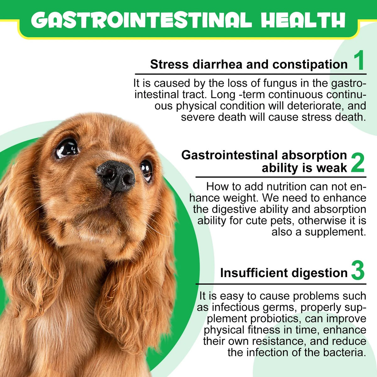Oimmal Pre & Probiotic digestive dog treats (120) - Duck Flavour