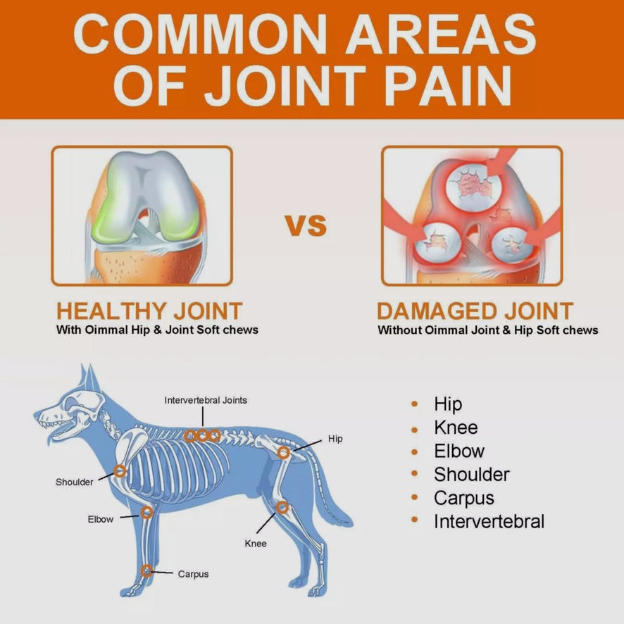 Oimmal Hip and Joint Glucosamine Hemp Dog Chews  (150) - Duck Flavour