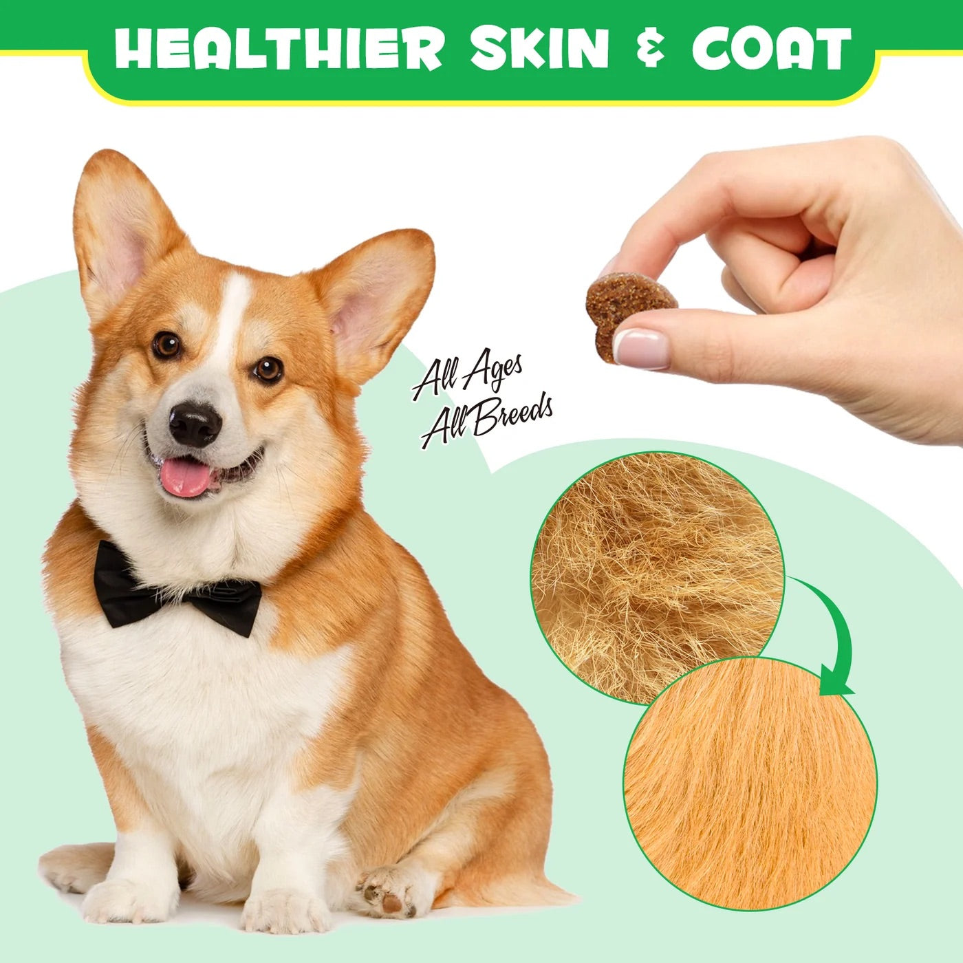Oimmal Pre & Probiotic digestive dog treats (120) - Duck Flavour