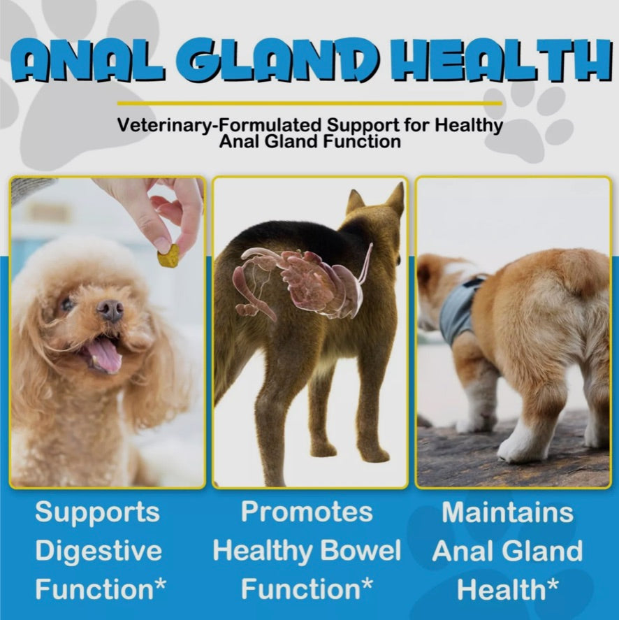 Oimmal Anal Gland Dog Chews (150) - Beef Flavour