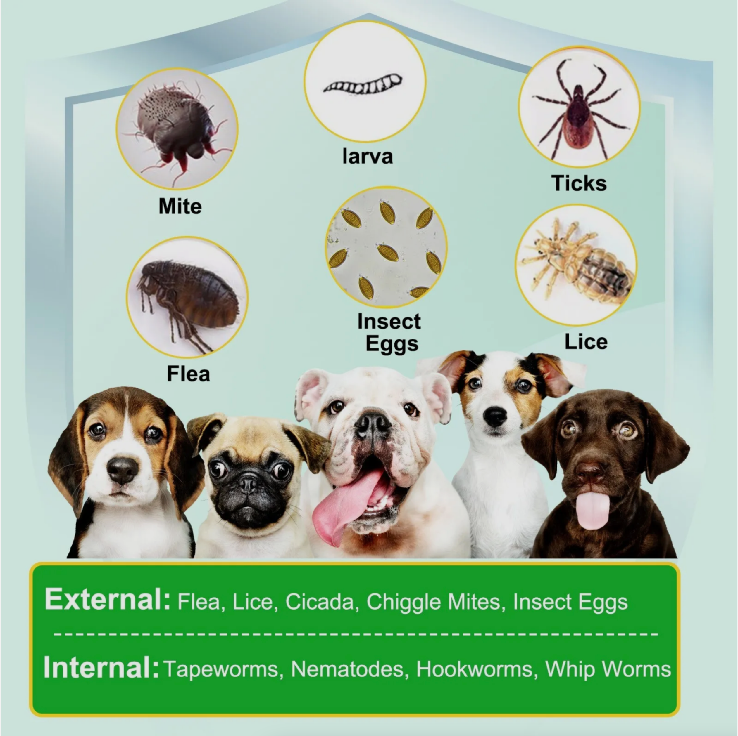 Oimmal Flea and Tick Dog Chews (150) - Peking Duck Flavour