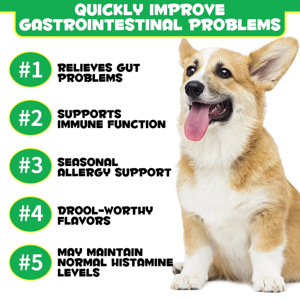 Oimmal Pre & Probiotic digestive dog treats (120) - Duck Flavour