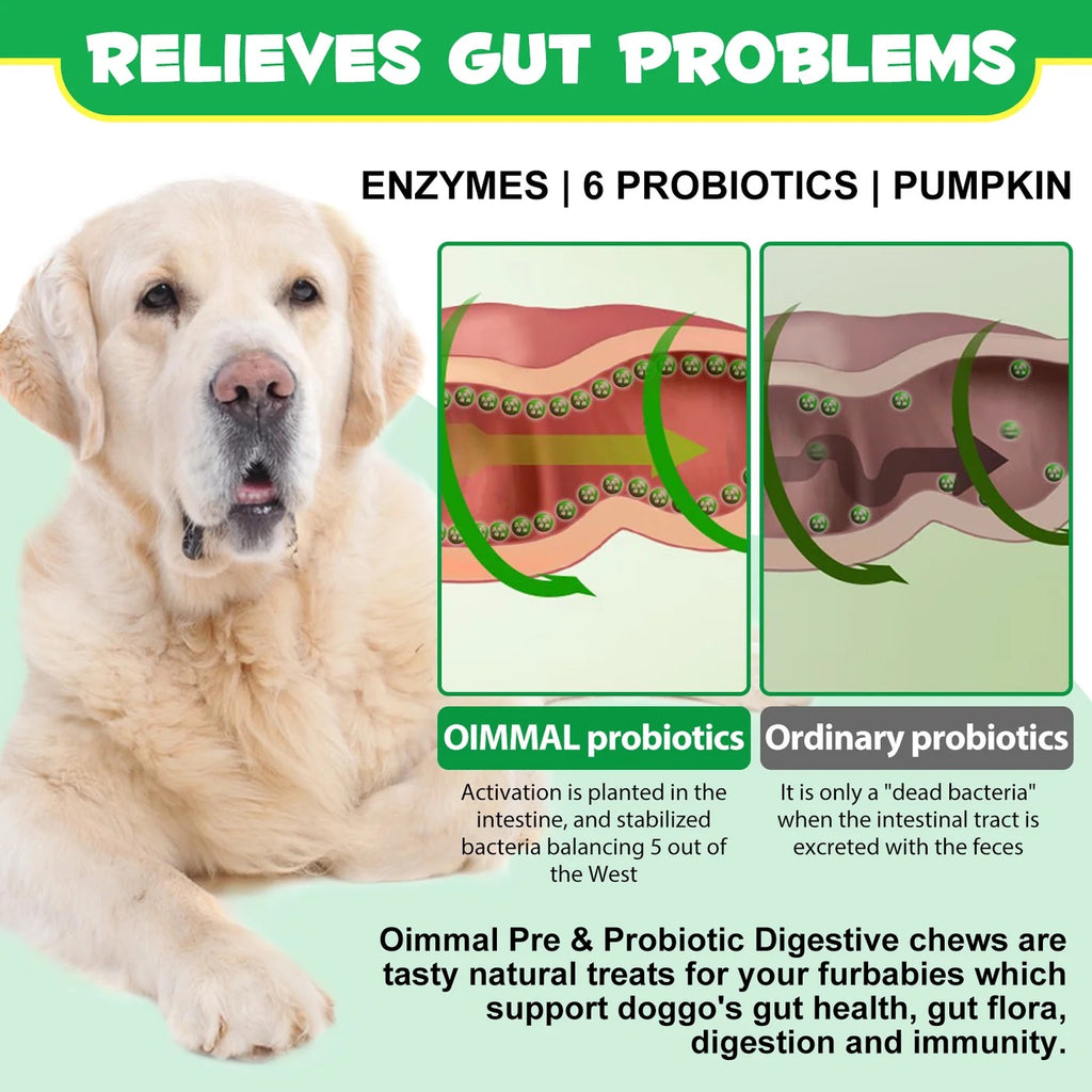 Oimmal Pre & Probiotic digestive dog treats (120) - Duck Flavour